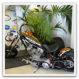 Harley davidson custom