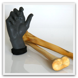 Polyurethane Foam Moulding Rigid Medical Bones