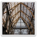 Oxford University Museum of Natural History