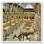 Oxford University Museum of Natural History