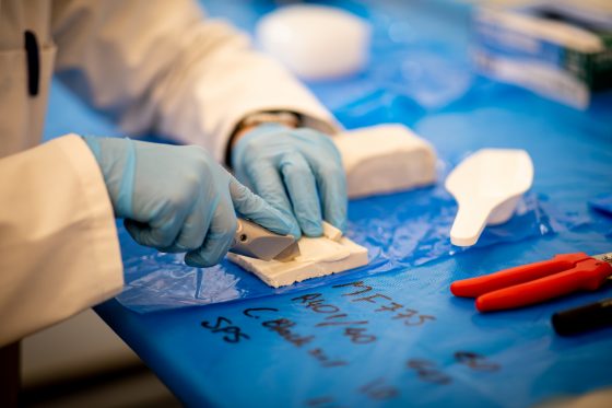How is rubber Vulcanised? The chemistry and history.
